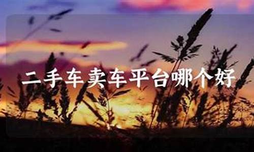 二手车直卖网都有哪个平台,二手车直卖平台哪个好点